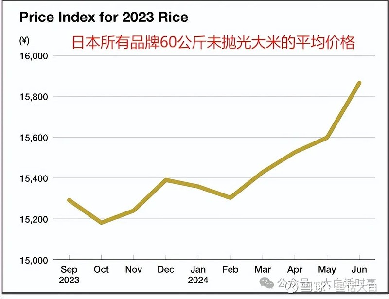 日本米价暴涨惊现民怨沸腾，真相究竟如何？深度解析背后的原因与影响！