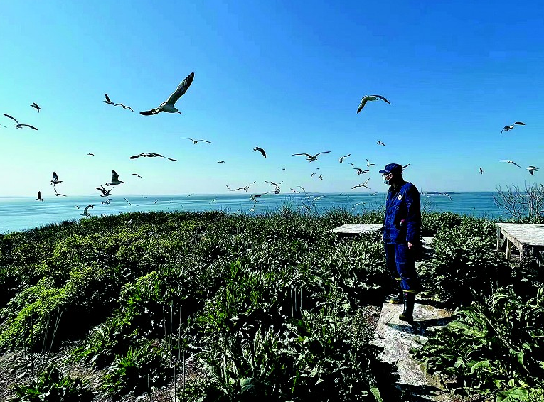 浙江一地驚現守鳥人新崗位，海島生活四個月，究竟隱藏怎樣的奇遇與挑戰？