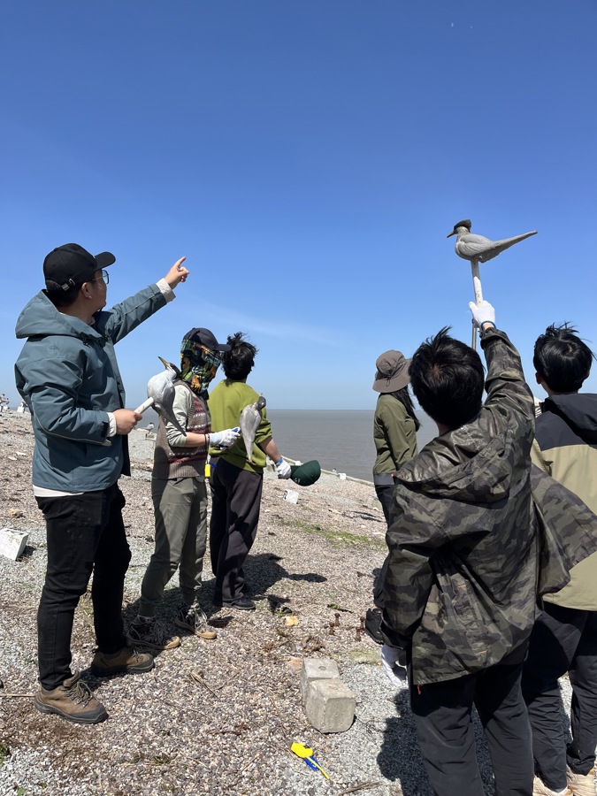 浙江日薪高達300的神秘職業揭曉，守鳥人，海島四個月的獨特生活體驗！