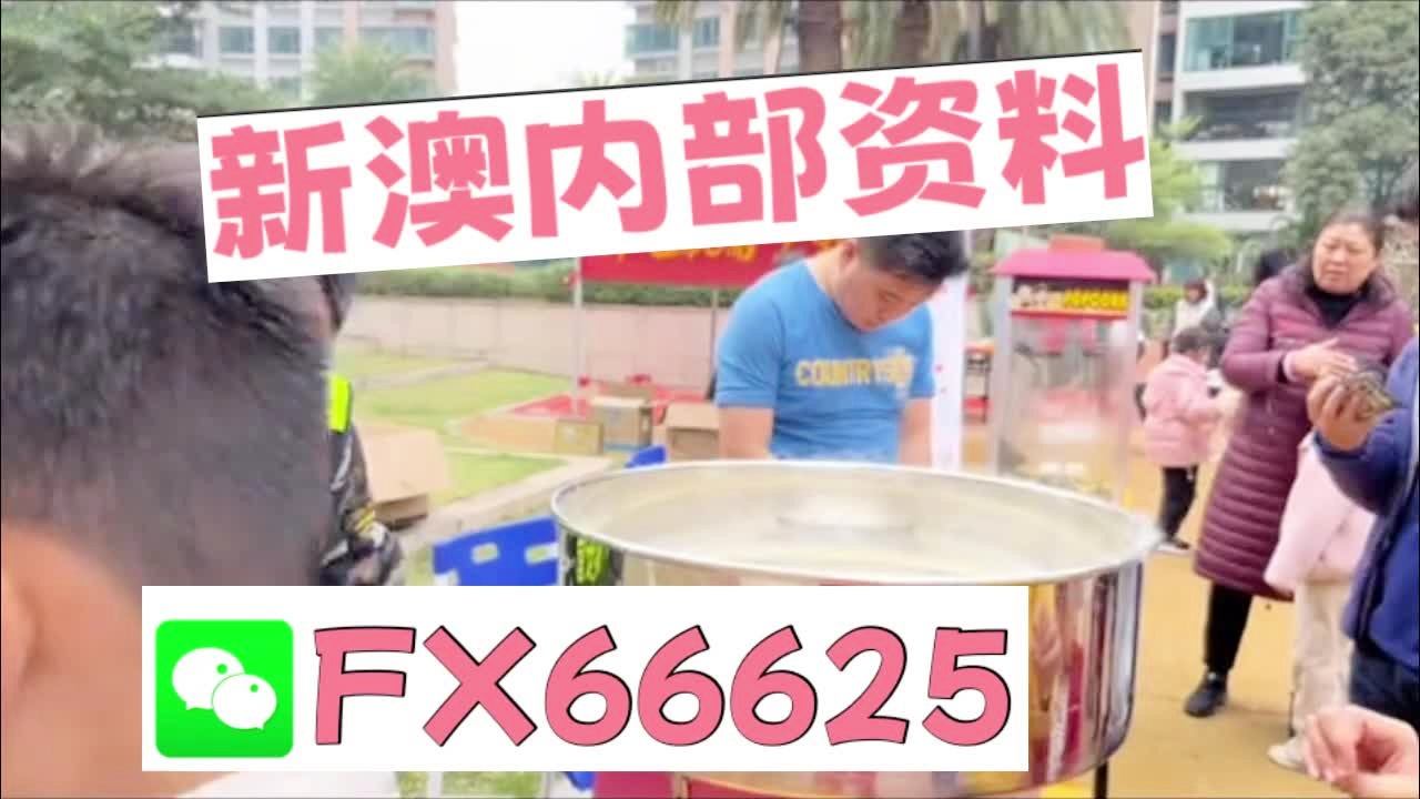 震撼曝光！新澳最新最准资料大全揭秘，19.962手游版带你逆袭新年目标，梦想成真就在此刻！