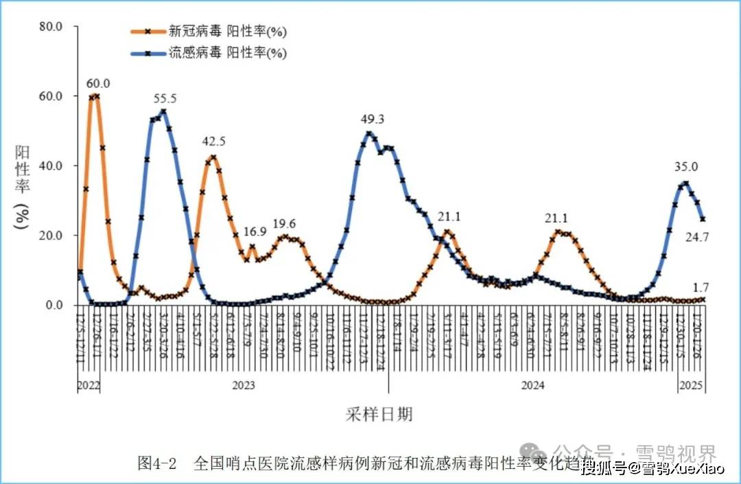 2025新病毒風暴來襲！精英款83.258能否逆轉危機？揭秘背后的機遇與挑戰！