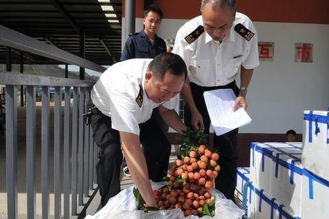 老人退休金超9000家中垃圾成山，背后的秘密与解决之道