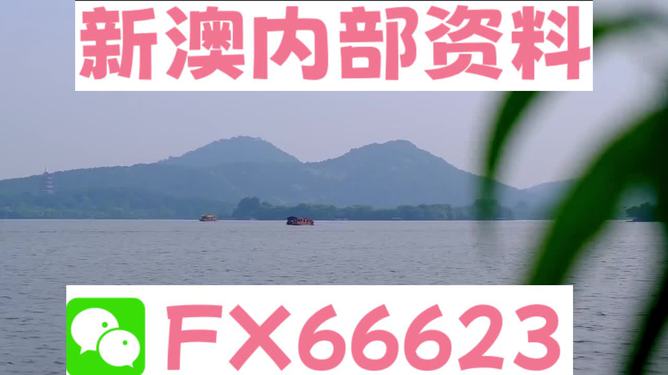 震撼發(fā)布！新澳2025年最新版資料，解鎖數(shù)據(jù)秘密，網(wǎng)頁版17.613讓你輕松掌握未來！