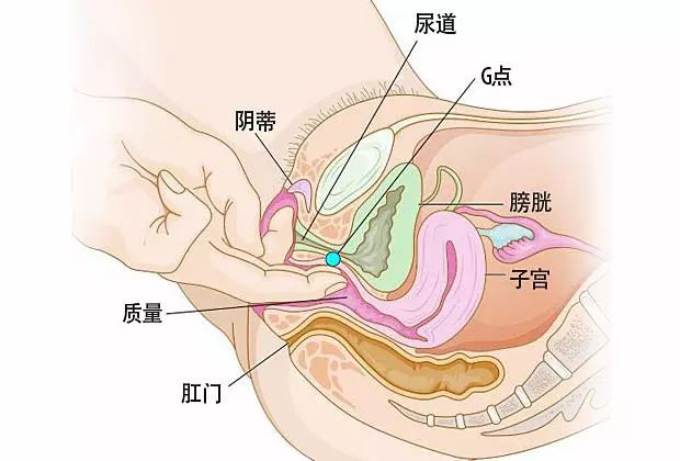 女子私密手术后惊现头晕嘴歪，这是怎么一回事？深度解析与实用建议