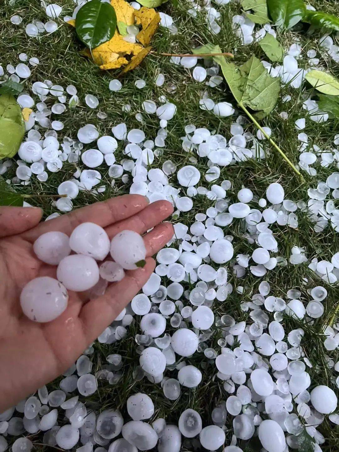 湖南天气大揭秘，冰火两重天！白天烈日炎炎竟遇夜晚冰雹奇景的深度解析