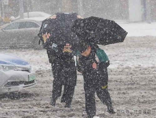 济南雪海困境！暴雨雪变绝望冰壶，汽车成挑战冰峰勇士？