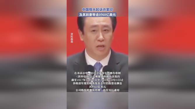 全球追债许家印前妻，深度解析背后的故事与争议