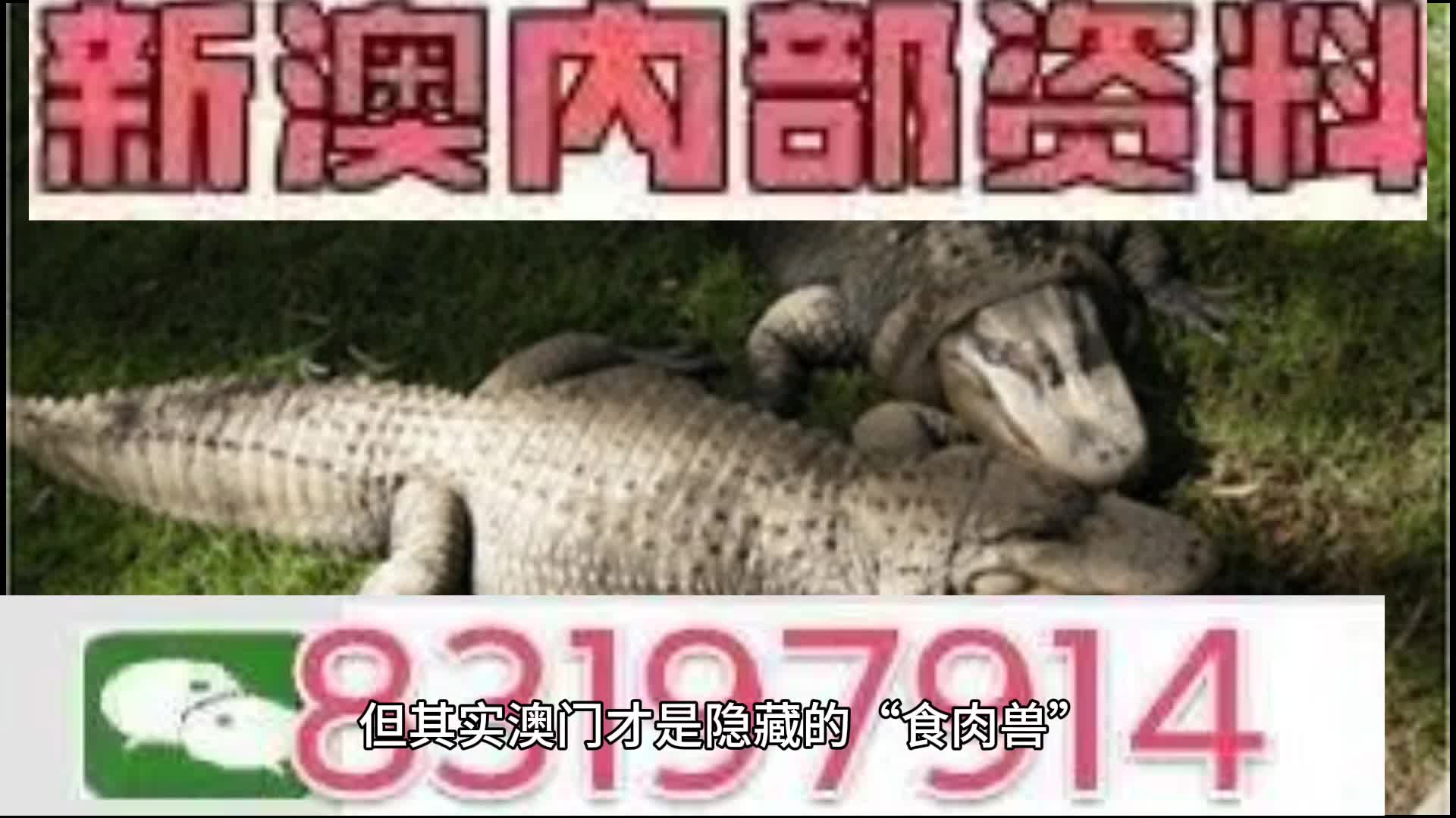 澳门特马今晚开奖结果揭晓！影像版17.740背后的成功智慧，隐藏着多少人生玄机？