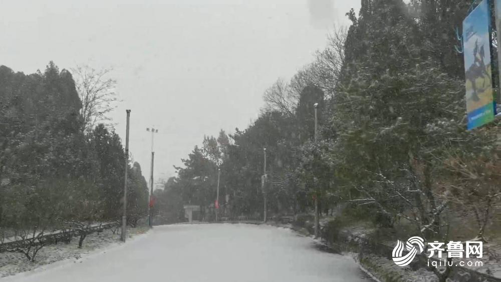 山东等地暴雪并非异常现象，气候变迁下的新常态？