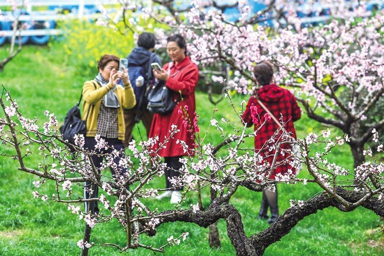 多地解锁春日特色消费场景，掀起消费热潮！你准备好了吗？