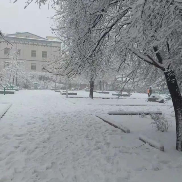 山東多地遭遇罕見暴雪，積雪深度驚人達13厘米——你感受到了嗎？