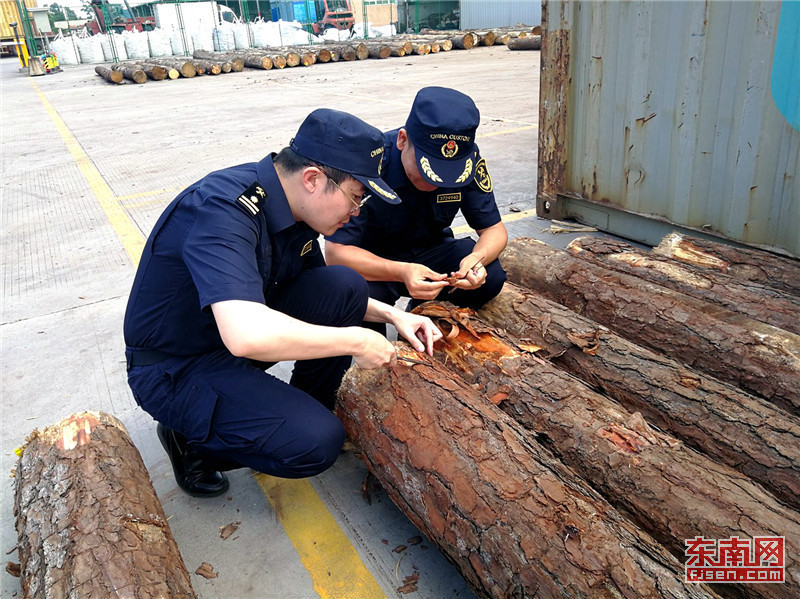 海关总署重磅决策，暂停进口美国原木，背后隐藏哪些深意？业界反应如何？深度解析！