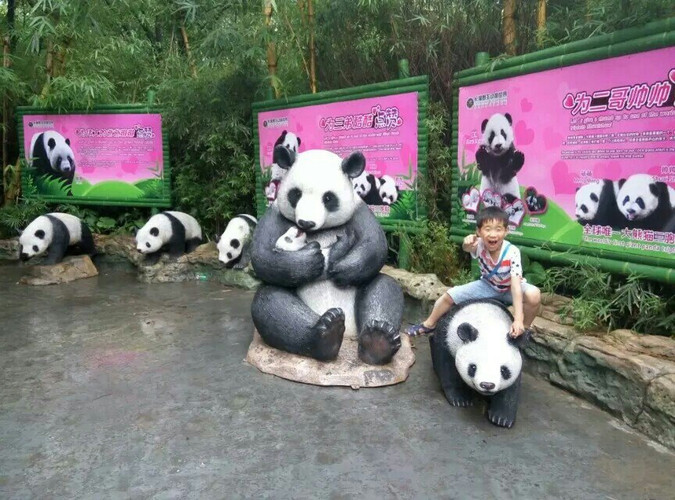 逛长隆满地动物饼干，一场别开生面的奇妙之旅！揭秘背后的故事与惊喜