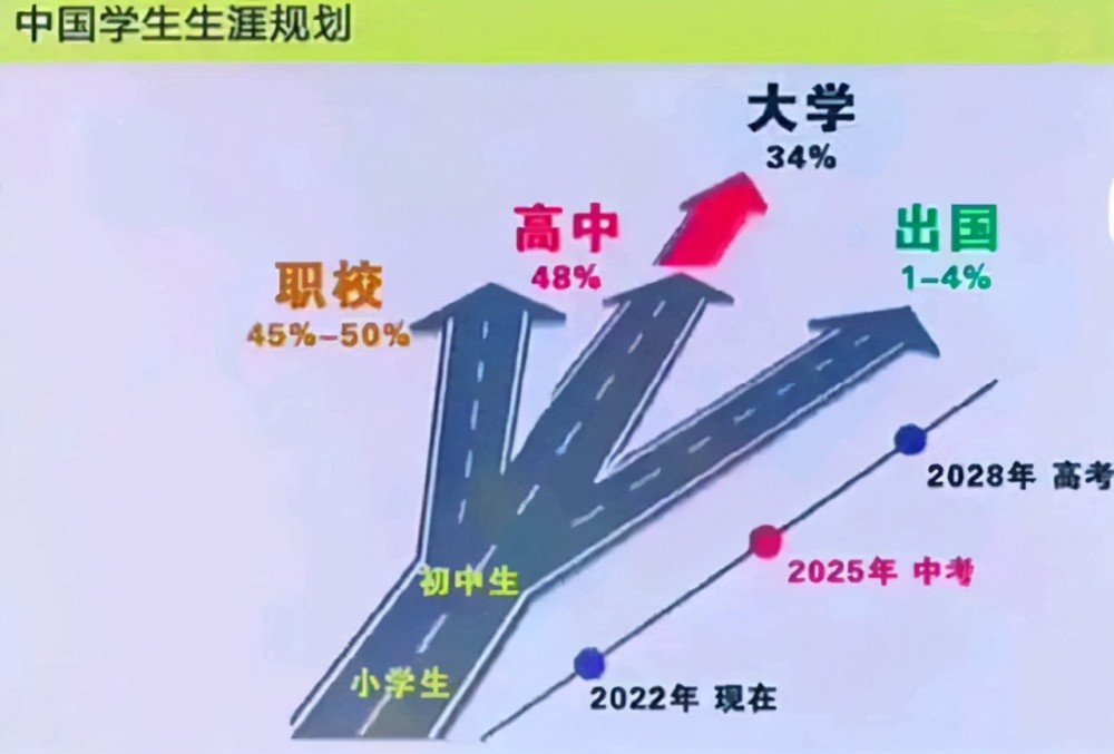 重磅来袭！深度解析十年制教育的优势与挑战——你准备好了吗？