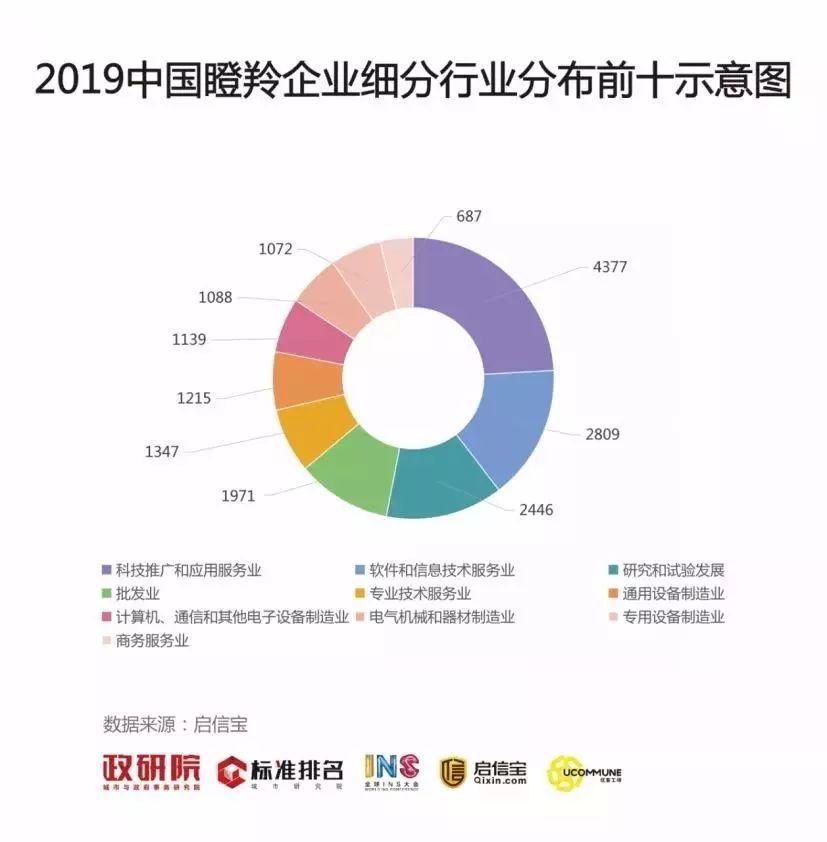 揭秘政府工作报告中的瞪羚企业，未来巨头还是创新先锋？