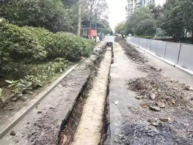 定向鋪路再夯實，構建堅實人生之路的三大基石