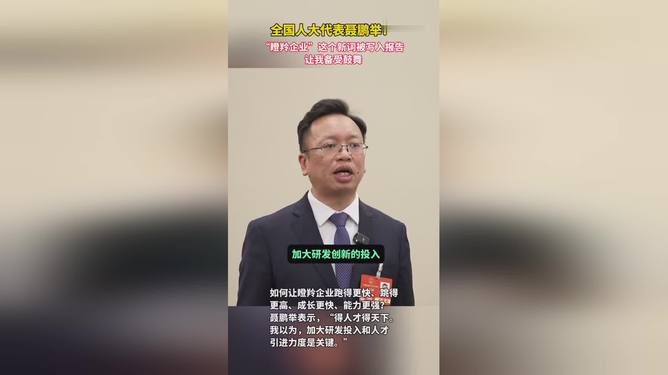 揭秘政府工作报告中的瞪羚企业，未来产业的新领军者！