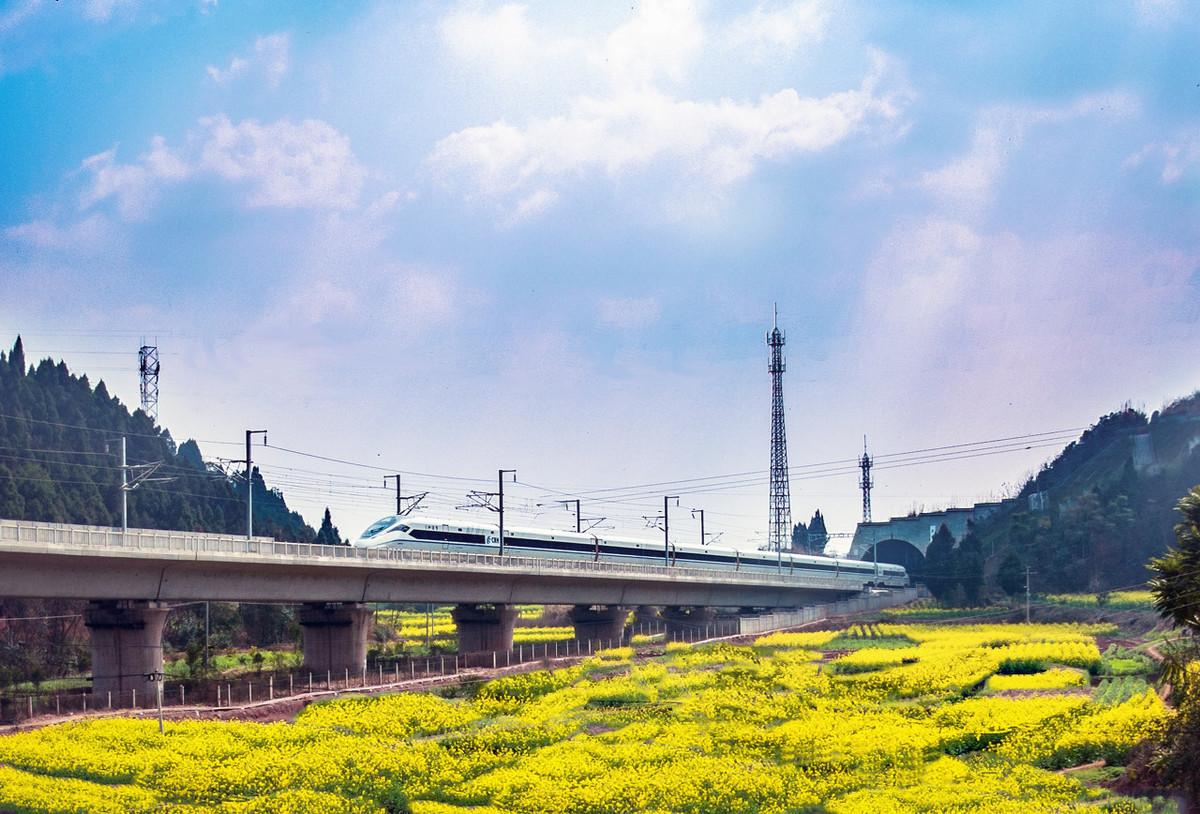 节假日铁路票价优惠引热议，委员提议背后的深意与考量