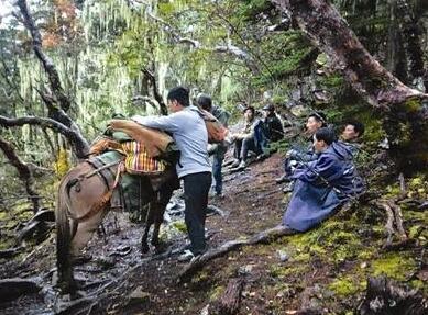 游客生死未卜，4500米雪山惊魂待援！