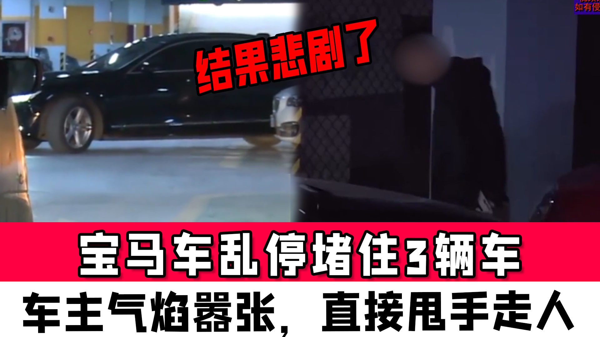 小伙停车木棉树下遭遇悲剧，究竟是何原因？深度解析这起事件的来龙去脉！