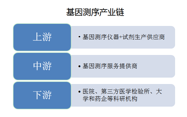 2025新臭精准资料大全，揭开AR21.841背后的真相与反馈分析，您绝对想不到的秘密！