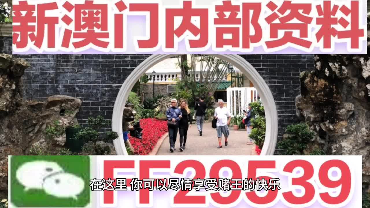 2025澳门特马今晚开什么码，揭开城市独特风情与活力的神秘面纱，限定版19.392带你体验不一样的夜晚！