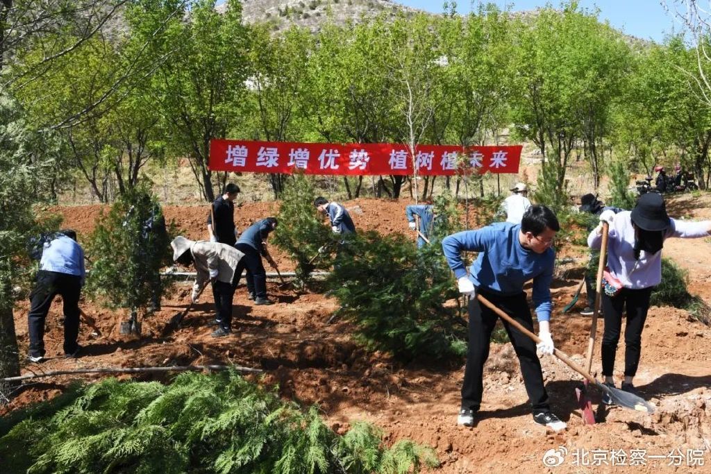 綠意濃情，種下明天的希望——增綠就是增優勢，植樹就是植未來！