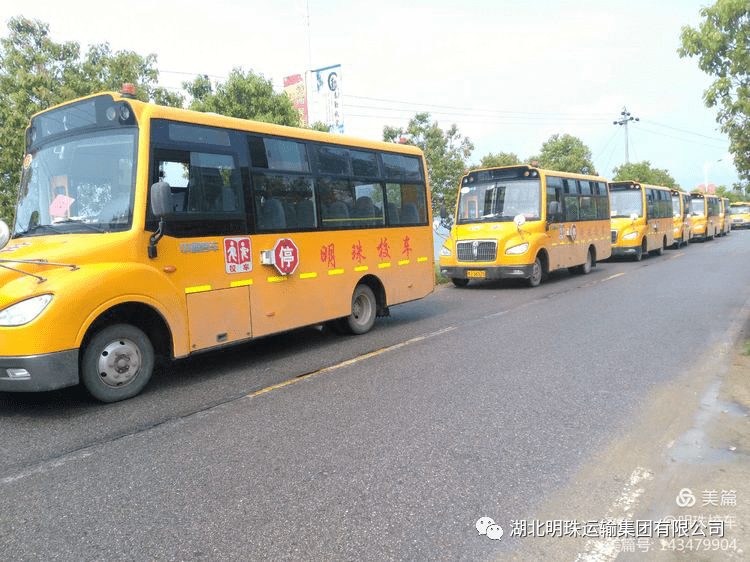 驚聞！年輕舞蹈老師遭校車追尾輾軋身亡，悲劇背后的真相令人扼腕嘆息！