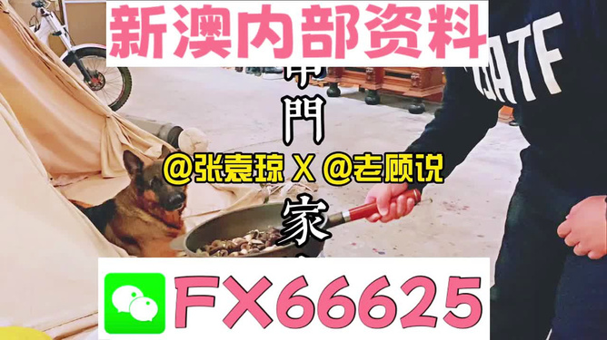 惊爆！新澳门精准资料大全管家婆料揭秘，人工智能崛起背后的惊天秘密，tShop55.874竟成人类与机器和谐共存的终极钥匙！