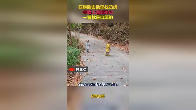 贪官茅台埋地下 玉米遮人眼，揭秘腐败新手段下的隐秘角落