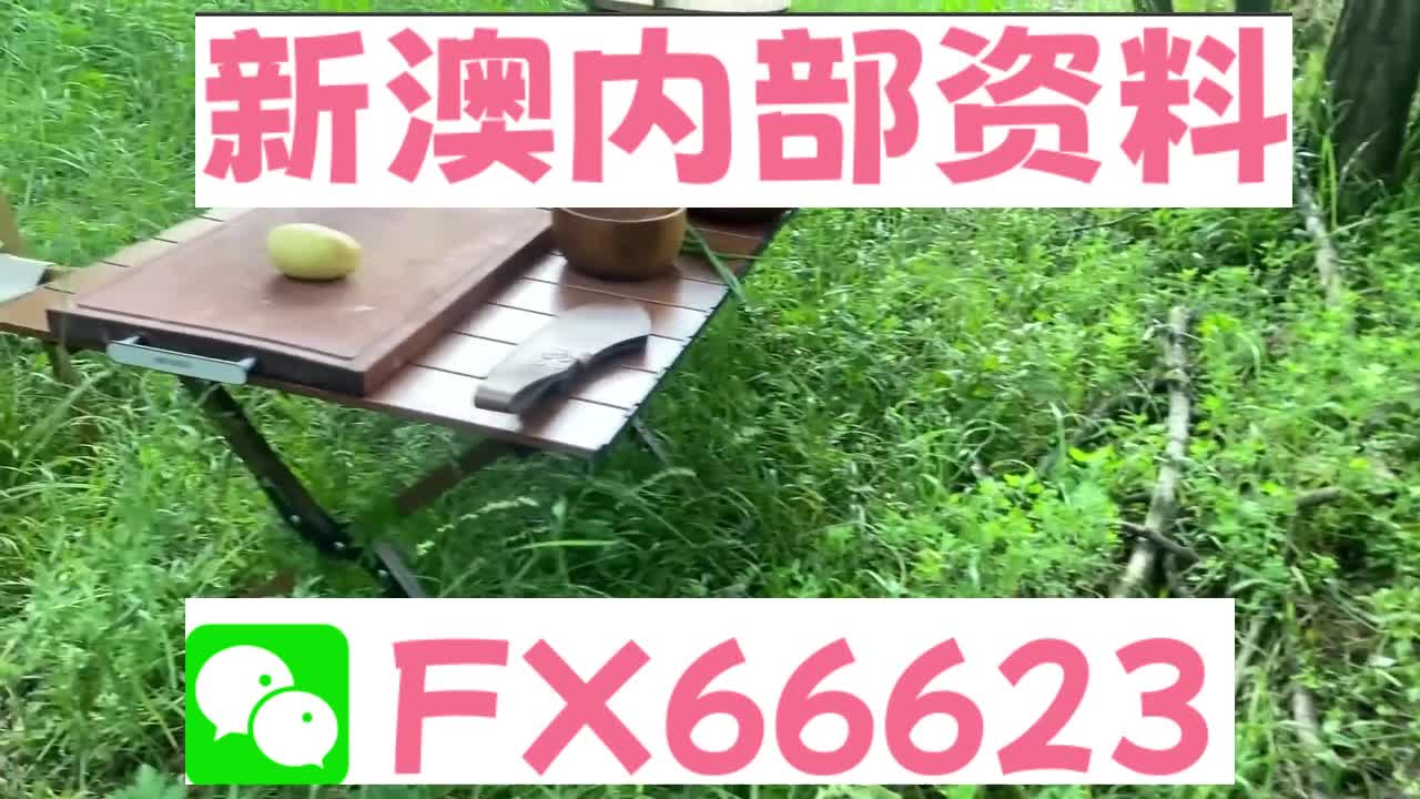 惊爆！2025新澳最精准资料大全曝光，内部数据揭秘竞争格局，视频版93.212震撼来袭！