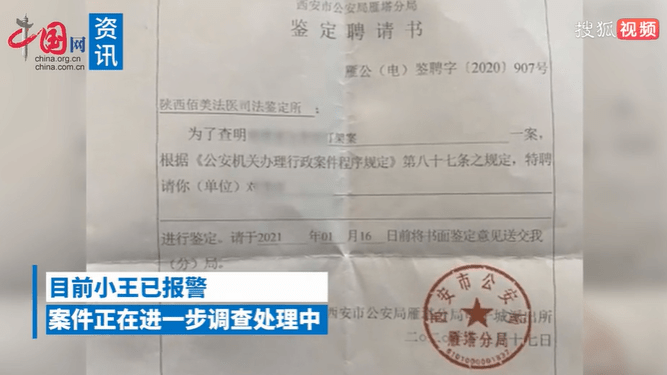 女子惊见男友家中公章遍地，争执升级报警介入调查，背后真相究竟如何？