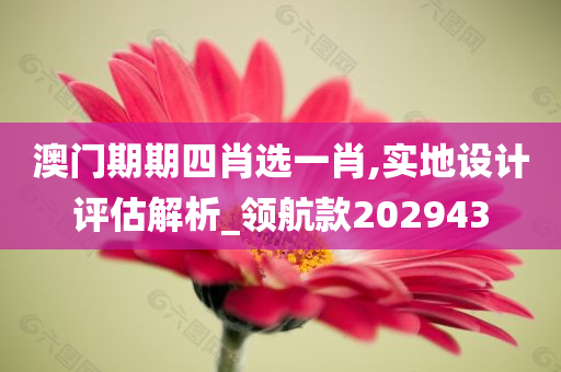 惊爆！2025新奥全年资料免费大全震撼来袭，CT89.543新方法助你突破极限，错过再等十年！