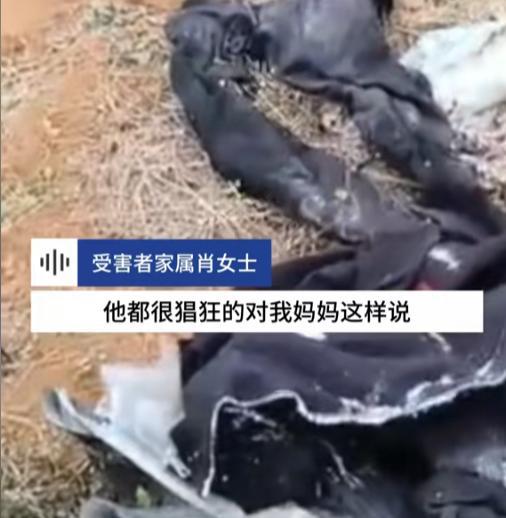 男子鋤頭暴力奪命，堂兄堂嫂命喪黃泉，死緩判決背后隱藏哪些真相？