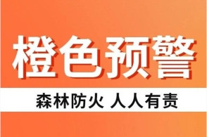 独家热点王毅与林芳正握手言和，中日关系走向何方？深度解读！