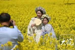 南宁惊魂一幕！学生遭蜜蜂围攻倒地，现场情况紧急！