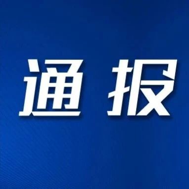 紧急通报，三只羊整改风暴来袭！神秘细节曝光，究竟发生了什么？