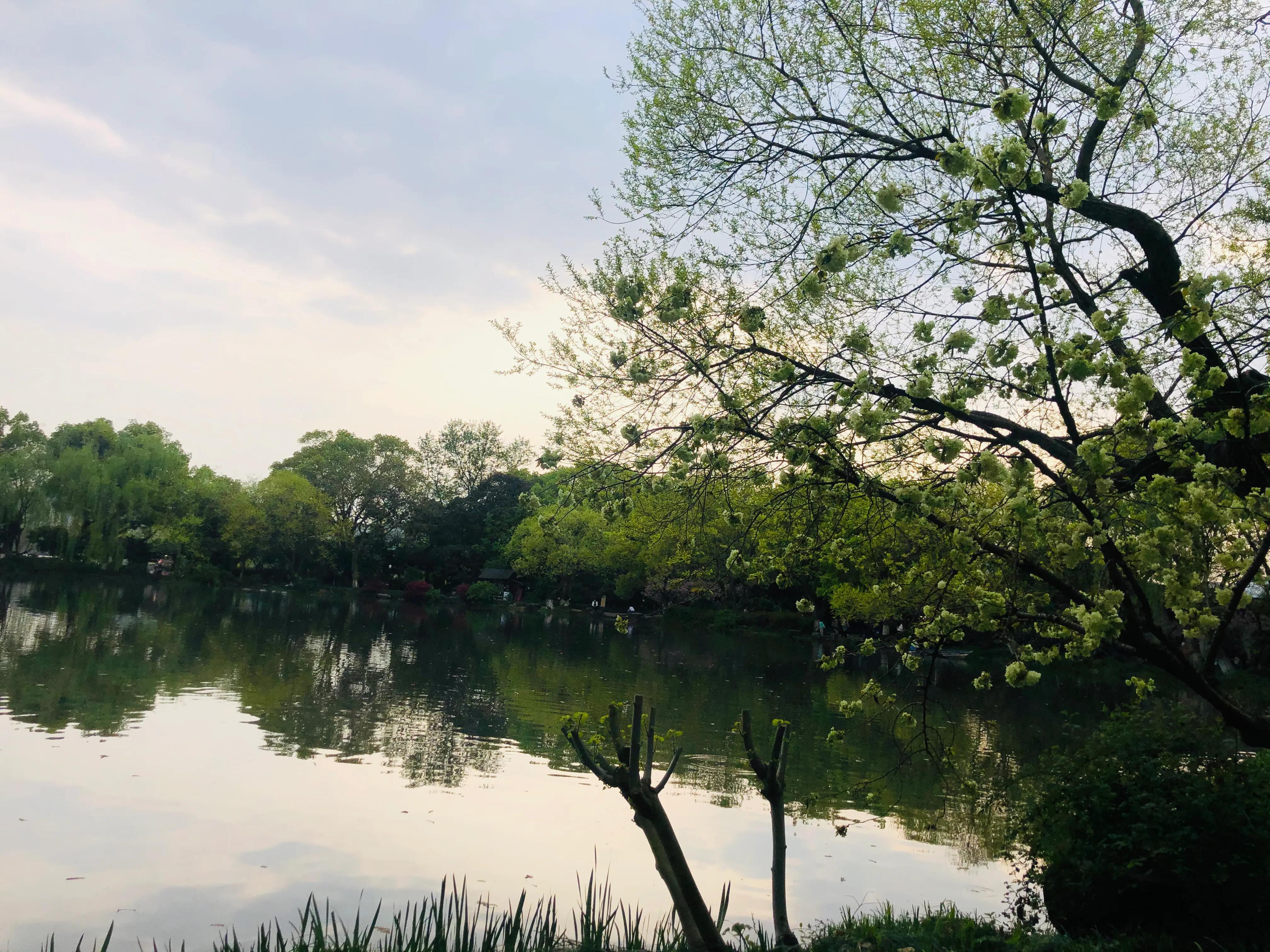 西湖太子湾盛景重现！两亿人次瞩目，究竟一亿人在此留下了怎样的传奇？