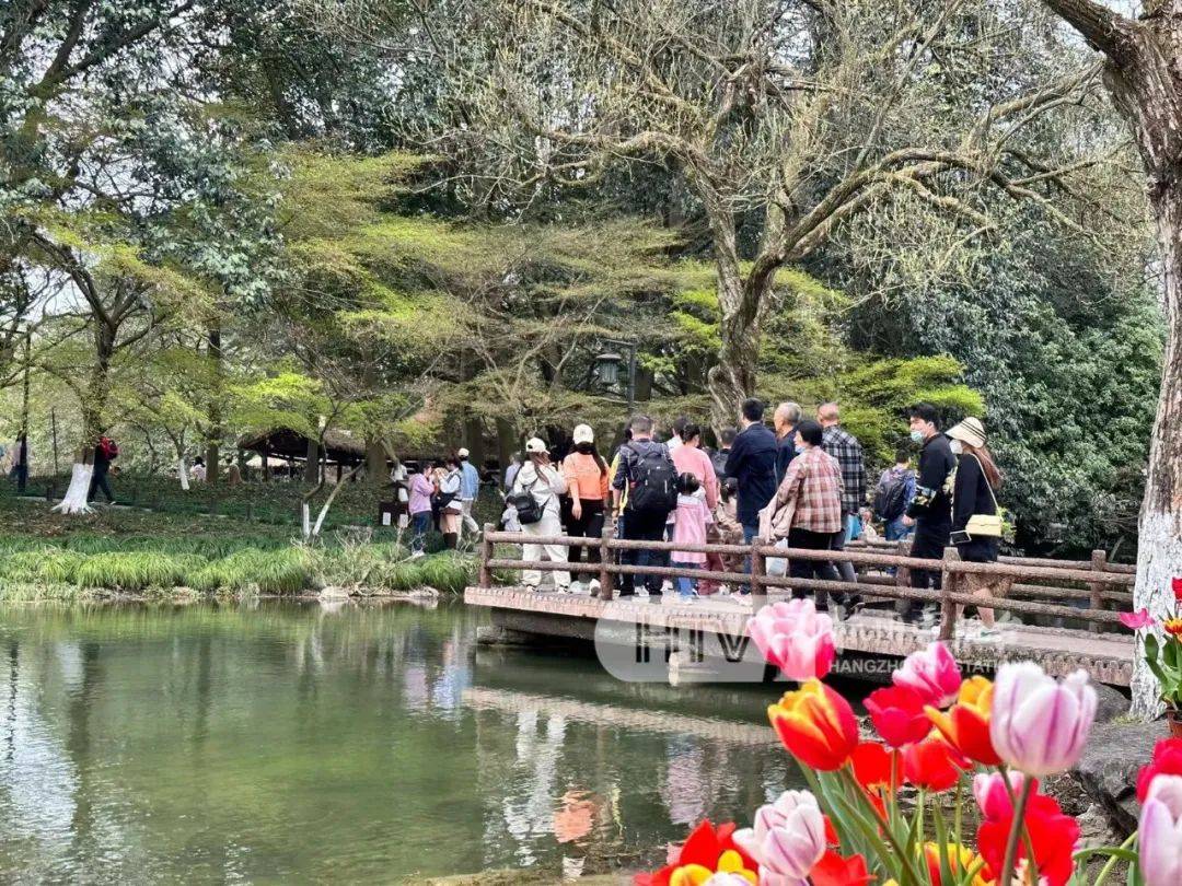 西湖太子灣公園，揭秘兩億人中的一億選擇與背后故事，懸念重重待揭曉！